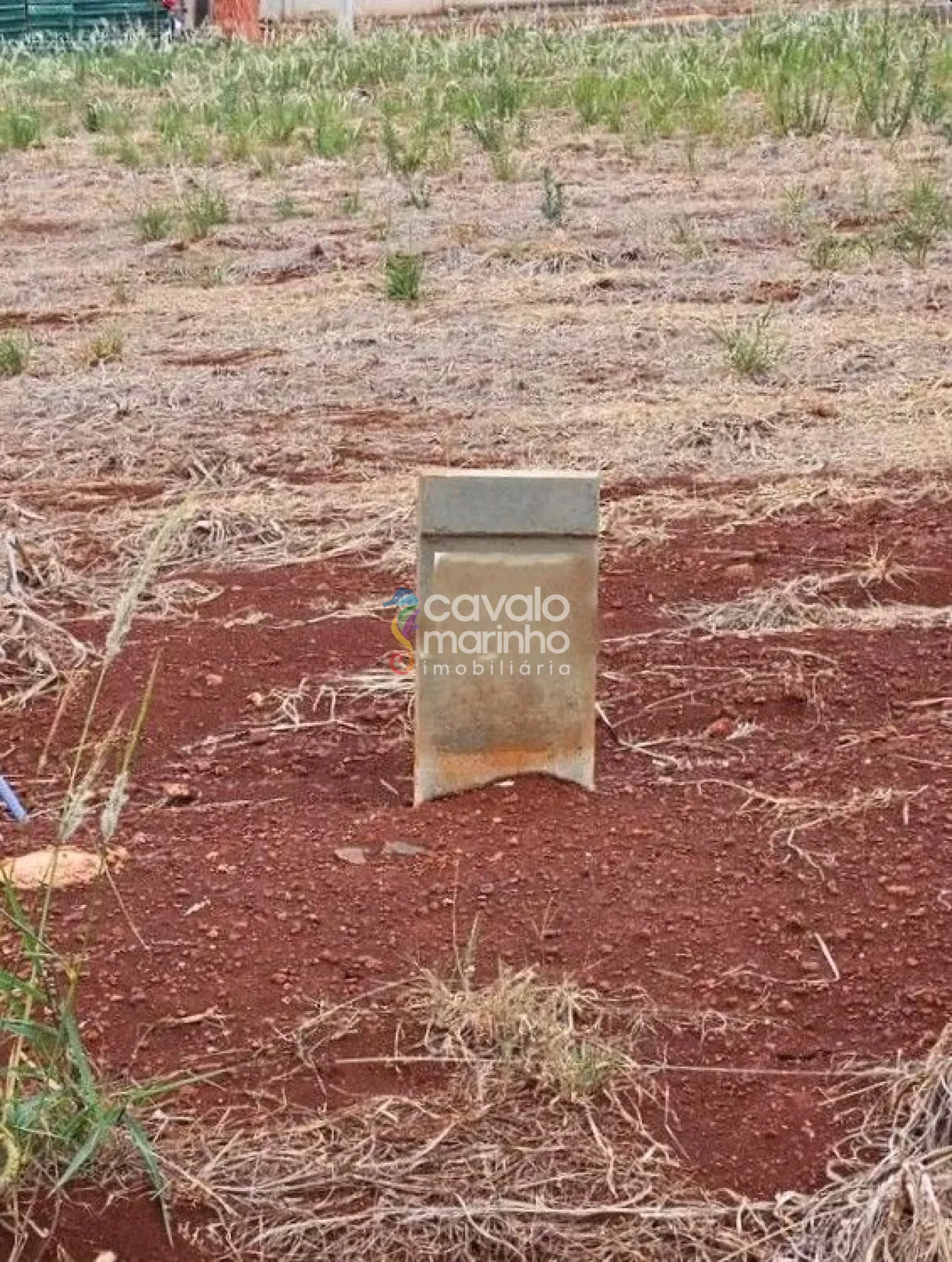 Comprar Terreno / Condomínio em Ribeirão Preto R$ 240.000,00 - Foto 1