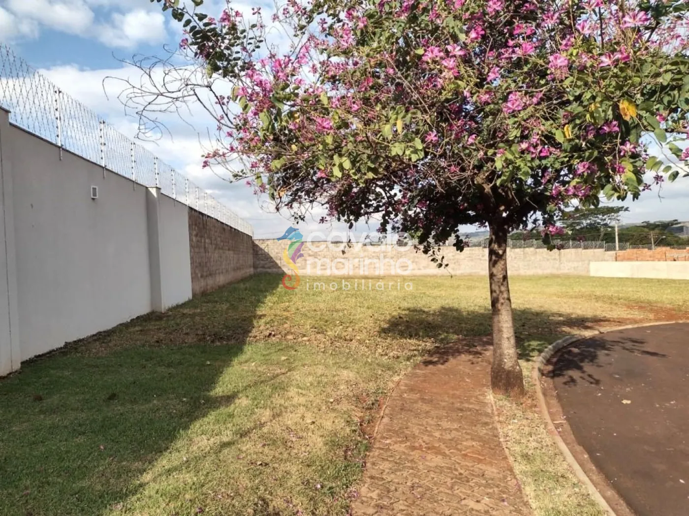 Comprar Terreno / Condomínio em Ribeirão Preto R$ 670.000,00 - Foto 5