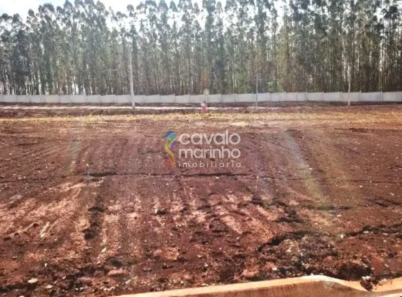 Comprar Terreno / Condomínio em Ribeirão Preto R$ 243.000,00 - Foto 1