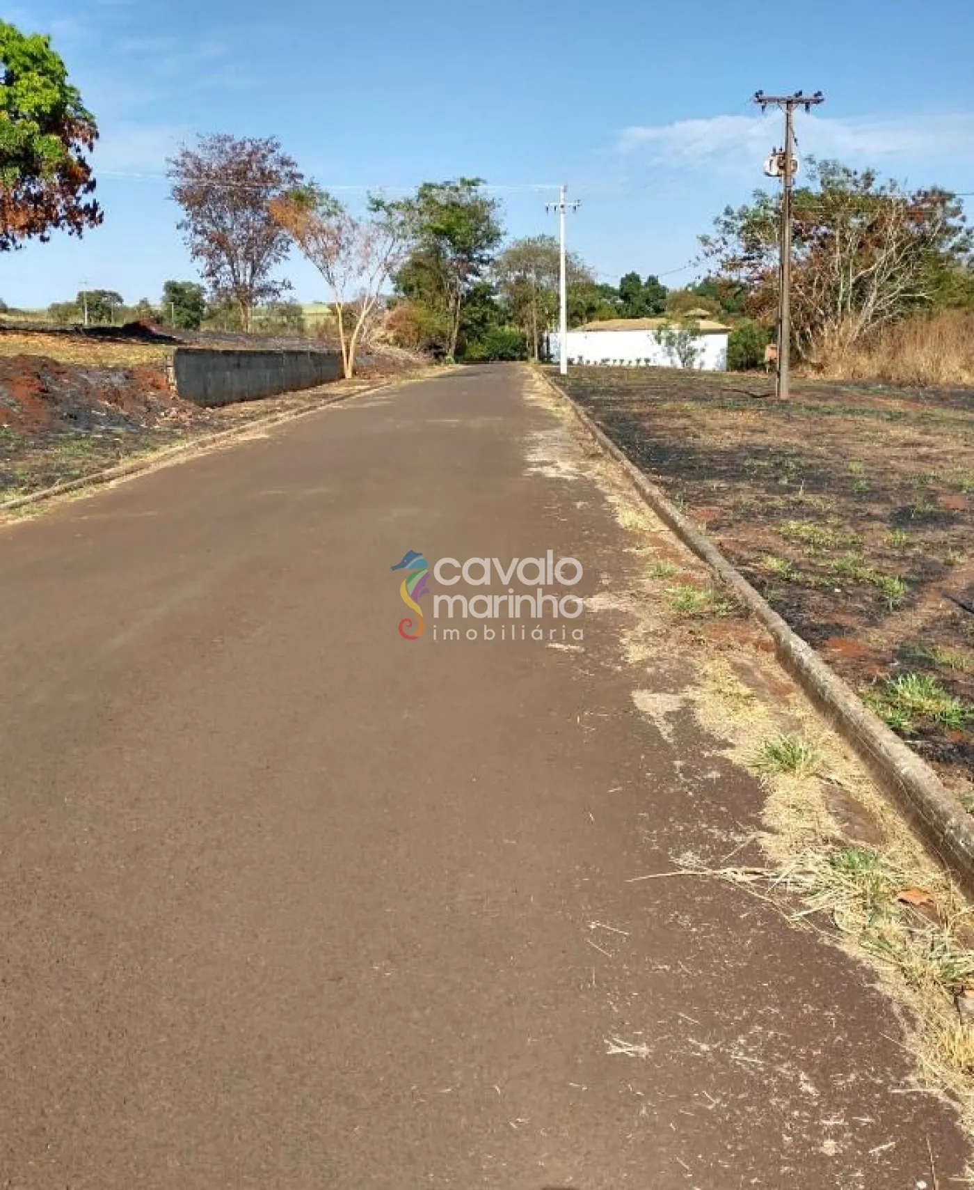 Comprar Terreno / Condomínio em Ribeirão Preto R$ 120.000,00 - Foto 4