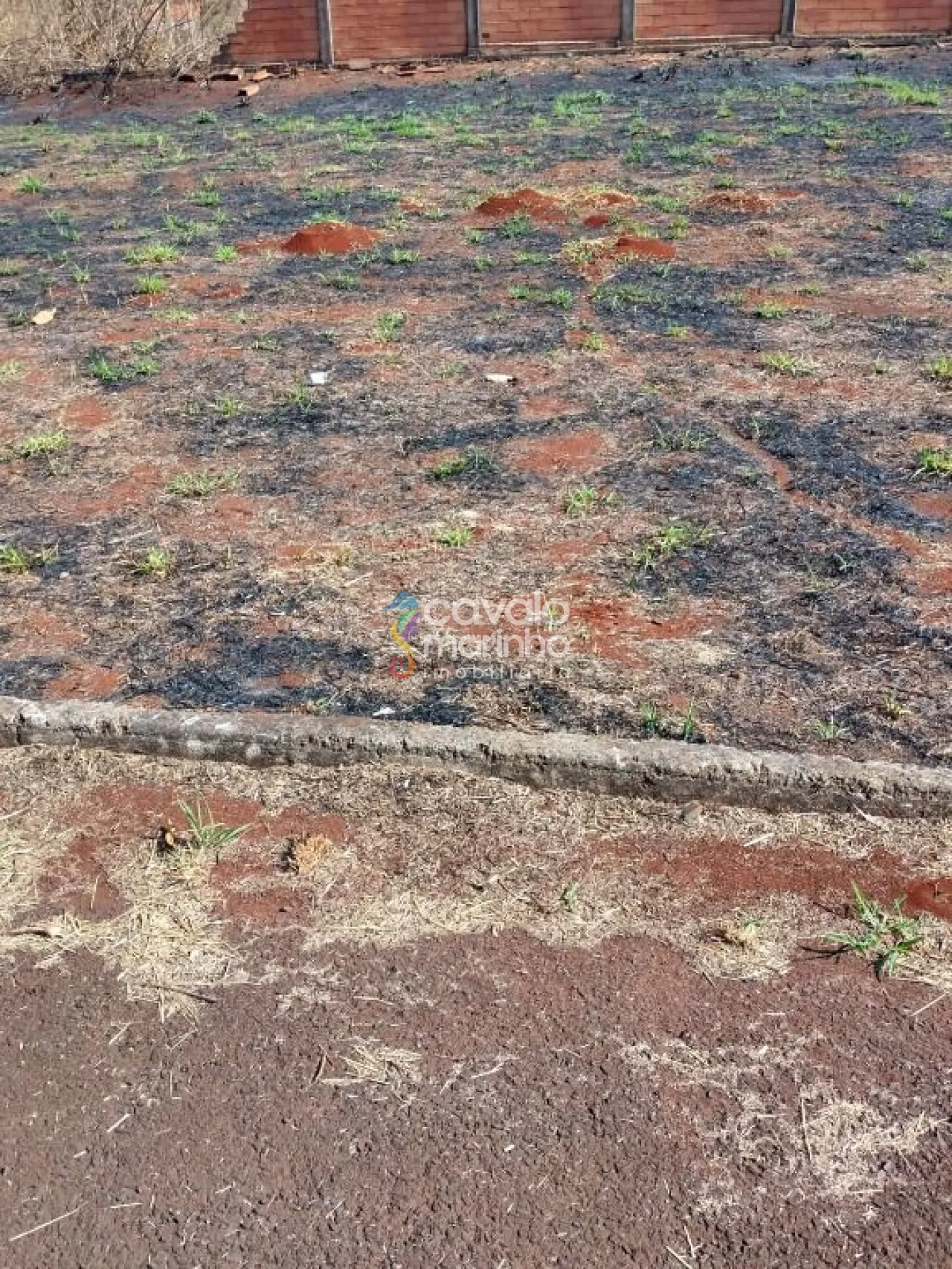 Comprar Terreno / Condomínio em Ribeirão Preto R$ 120.000,00 - Foto 2