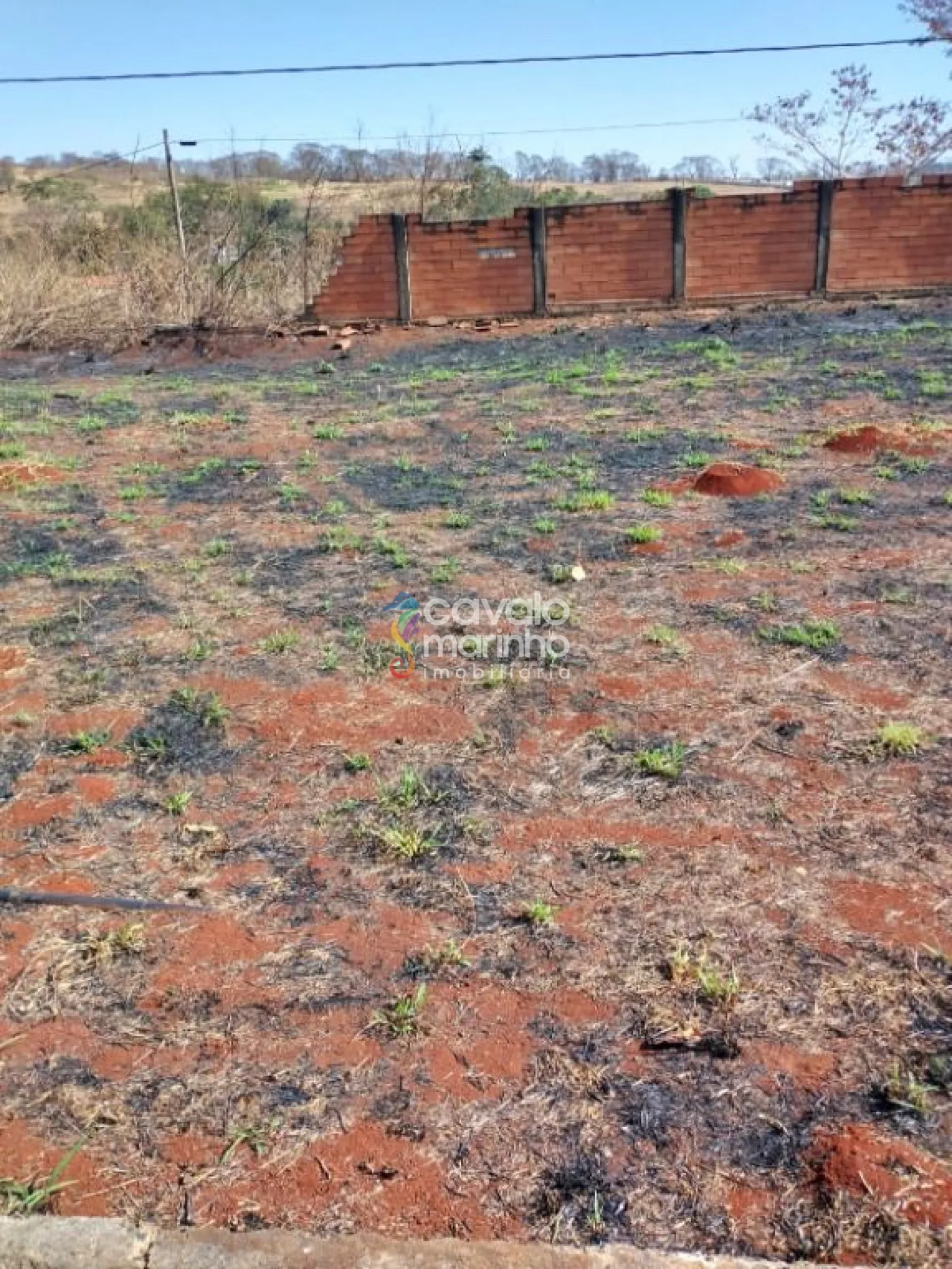 Comprar Terreno / Condomínio em Ribeirão Preto R$ 120.000,00 - Foto 1