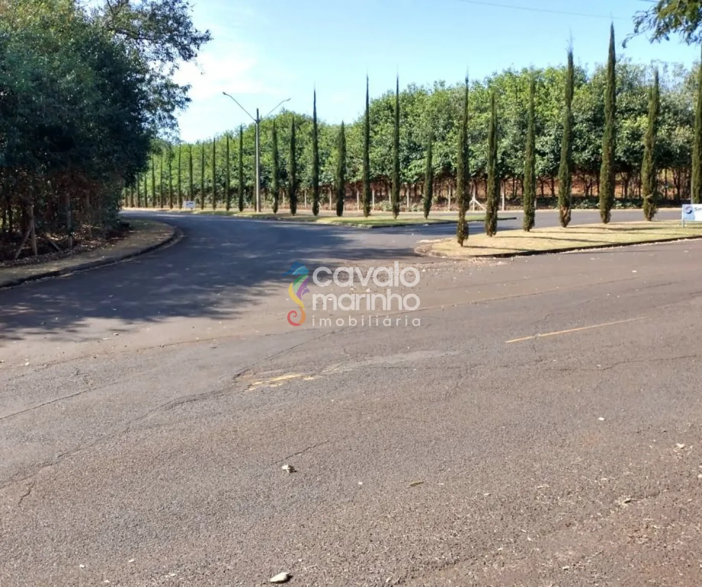 Comprar Terreno / Condomínio em Ribeirão Preto R$ 120.000,00 - Foto 8