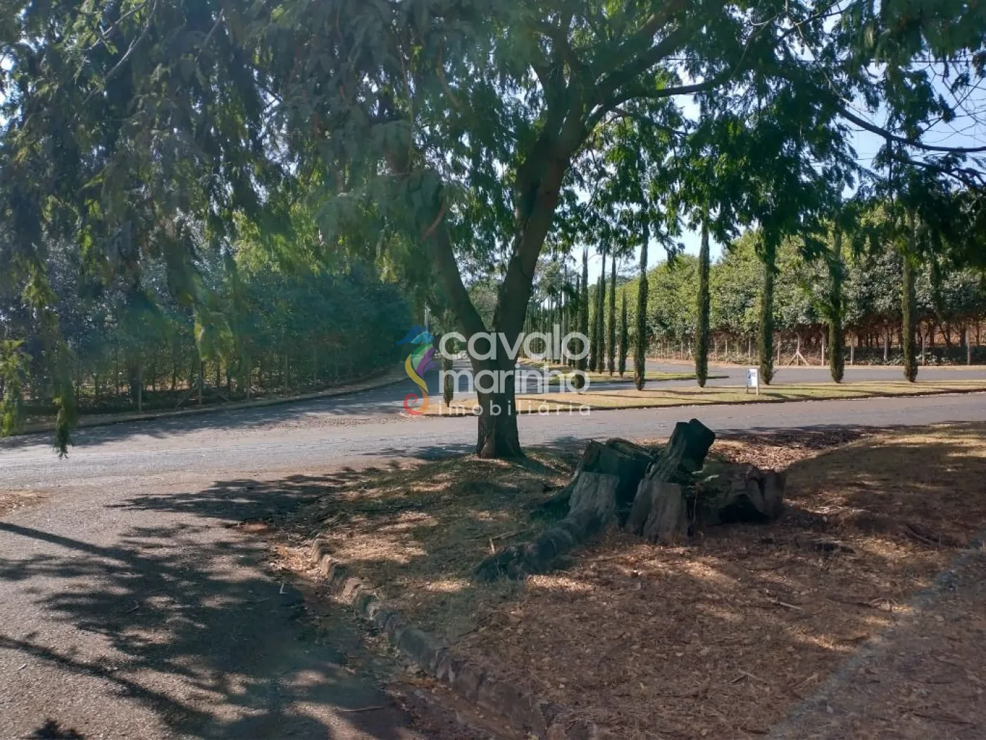 Comprar Terreno / Condomínio em Ribeirão Preto R$ 120.000,00 - Foto 9