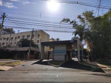 imagem 5 - Apartamento à venda com 3 quartos, 76m² - Residencial Boa Vista - Jardim Palma Travassos. imagem 5 - Apartamento à venda com 3 quartos, 76m² - Residencial Boa Vista - Jardim Palma Travassos.