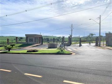 imagem 5 - Terreno em condomínio à venda, 250 m²  - Quinta da Mata II - Ribeirão Preto/SP imagem 5 - Terreno em condomínio à venda, 250 m²  - Quinta da Mata II - Ribeirão Preto/SP