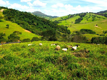 imagem 4 - Sítio com 3 dormitórios à venda, 730000 m² por R$ 4.500.000,00 - Centro - Capitólio/MG imagem 4 - Sítio com 3 dormitórios à venda, 730000 m² por R$ 4.500.000,00 - Centro - Capitólio/MG