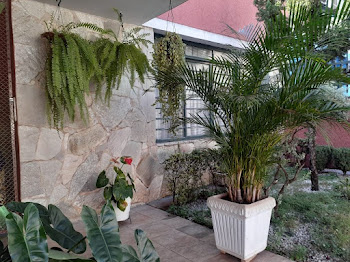 imagem 2 - Casa à venda com 3 quartos, 150 m² - Centro - Ribeirão Preto/SP imagem 2 - Casa à venda com 3 quartos, 150 m² - Centro - Ribeirão Preto/SP