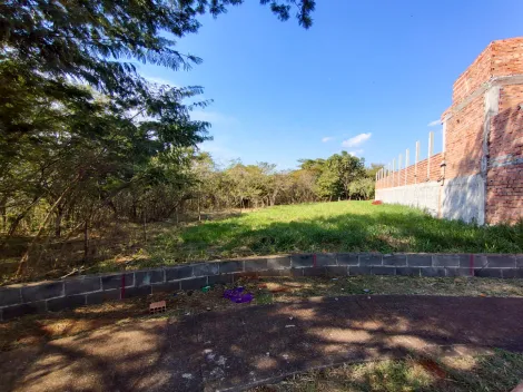 imagem 4 - Terreno à venda, 554m²  - Jardim San Marco - Bonfim Paulista. imagem 4 - Terreno à venda, 554m²  - Jardim San Marco - Bonfim Paulista.