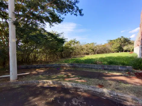 imagem 5 - Terreno à venda, 554m²  - Jardim San Marco - Bonfim Paulista. imagem 5 - Terreno à venda, 554m²  - Jardim San Marco - Bonfim Paulista.