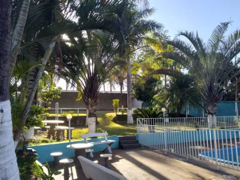 imagem 1 - Chácara com 8 dormitórios à venda, 9700 m² - Jardim Maravilha - Serrana/SP imagem 1 - Chácara com 8 dormitórios à venda, 9700 m² - Jardim Maravilha - Serrana/SP