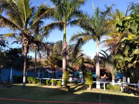 imagem 5 - Chácara com 8 dormitórios à venda, 9700 m² - Jardim Maravilha - Serrana/SP imagem 5 - Chácara com 8 dormitórios à venda, 9700 m² - Jardim Maravilha - Serrana/SP