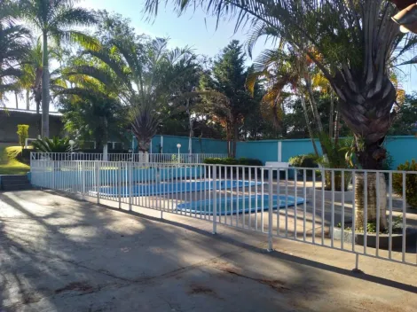 imagem 4 - Chácara com 8 dormitórios à venda, 9700 m² - Jardim Maravilha - Serrana/SP imagem 4 - Chácara com 8 dormitórios à venda, 9700 m² - Jardim Maravilha - Serrana/SP