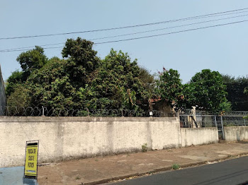 imagem 4 - Terreno à venda, 1144 m² por R$ 1.600.000,00 - Campos Elíseos - Ribeirão Preto/SP imagem 4 - Terreno à venda, 1144 m² por R$ 1.600.000,00 - Campos Elíseos - Ribeirão Preto/SP