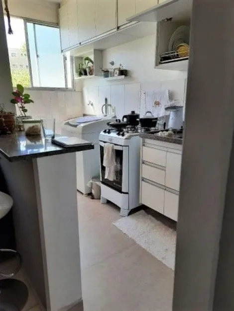 imagem 3 - Apartamento á venda com 2 quartos, 47 m² - Parque Rebouças - City Ribeirão. imagem 3 - Apartamento á venda com 2 quartos, 47 m² - Parque Rebouças - City Ribeirão.