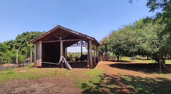 imagem 4 - Sítio com 4 dormitórios à venda, 15000 m² por R$ 650.000,00 - Guatapará - Guatapará/SP imagem 4 - Sítio com 4 dormitórios à venda, 15000 m² por R$ 650.000,00 - Guatapará - Guatapará/SP
