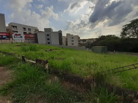 imagem 2 - Terreno para alugar, 1760 m² - Jardim Botânico. imagem 2 - Terreno para alugar, 1760 m² - Jardim Botânico.