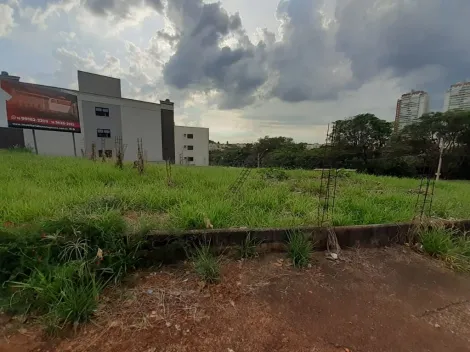 imagem 3 - Terreno para alugar, 1760 m² - Jardim Botânico. imagem 3 - Terreno para alugar, 1760 m² - Jardim Botânico.