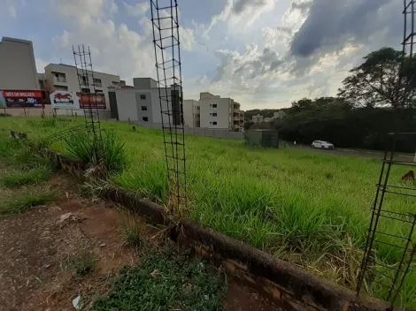 imagem 4 - Terreno para alugar, 1760 m² - Jardim Botânico. imagem 4 - Terreno para alugar, 1760 m² - Jardim Botânico.