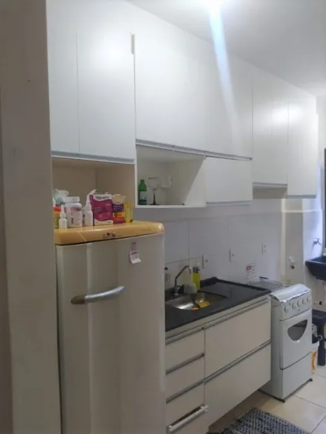 imagem 5 - Apartamento á venda com 2 quartos, 43 m²  - Jardim Interlagos. imagem 5 - Apartamento á venda com 2 quartos, 43 m²  - Jardim Interlagos.