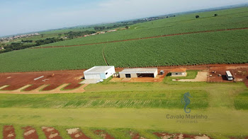imagem 4 - Terreno à venda, 460 m² por R$ 360.000,00 - Centro - Pontal/SP imagem 4 - Terreno à venda, 460 m² por R$ 360.000,00 - Centro - Pontal/SP