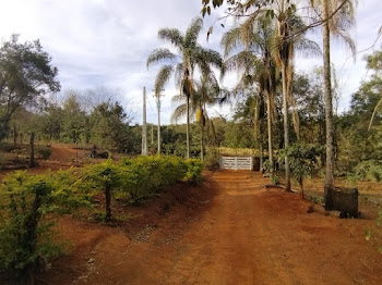 imagem 1 - Sítio com 5 dormitórios à venda, 42000 m² por R$ 875.000,00 - Zona Rural - Santo Antônio da Alegria/SP imagem 1 - Sítio com 5 dormitórios à venda, 42000 m² por R$ 875.000,00 - Zona Rural - Santo Antônio da Alegria/SP