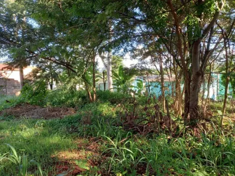 imagem 1 - Terreno para alugar, 3000 m² - Ribeirânia - Ribeirão Preto/SP imagem 1 - Terreno para alugar, 3000 m² - Ribeirânia - Ribeirão Preto/SP