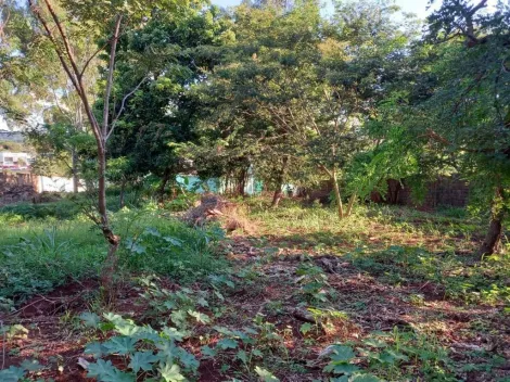 imagem 2 - Terreno para alugar, 3000 m² - Ribeirânia - Ribeirão Preto/SP imagem 2 - Terreno para alugar, 3000 m² - Ribeirânia - Ribeirão Preto/SP