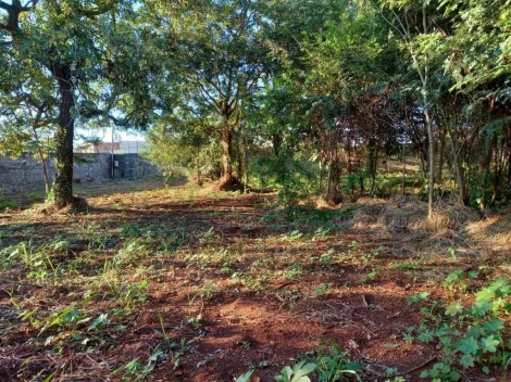 imagem 3 - Terreno para alugar, 3000 m² - Ribeirânia - Ribeirão Preto/SP imagem 3 - Terreno para alugar, 3000 m² - Ribeirânia - Ribeirão Preto/SP