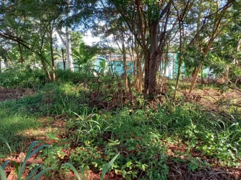 imagem 4 - Terreno para alugar, 3000 m² - Ribeirânia - Ribeirão Preto/SP imagem 4 - Terreno para alugar, 3000 m² - Ribeirânia - Ribeirão Preto/SP