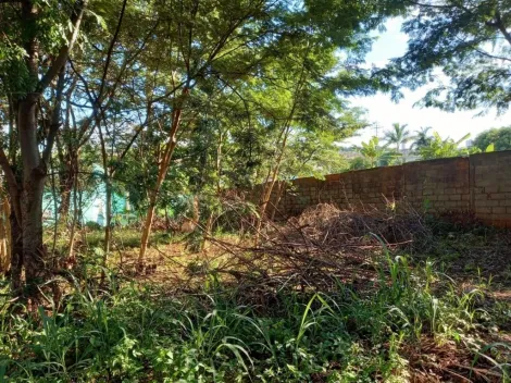 imagem 5 - Terreno para alugar, 3000 m² - Ribeirânia - Ribeirão Preto/SP imagem 5 - Terreno para alugar, 3000 m² - Ribeirânia - Ribeirão Preto/SP