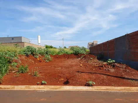 imagem 1 - Terreno à venda, 250m² - Residencial Belvedere - Bonfim Paulista. imagem 1 - Terreno à venda, 250m² - Residencial Belvedere - Bonfim Paulista.