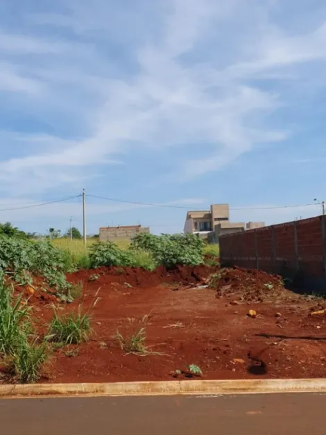 imagem 4 - Terreno à venda, 250m² - Residencial Belvedere - Bonfim Paulista. imagem 4 - Terreno à venda, 250m² - Residencial Belvedere - Bonfim Paulista.