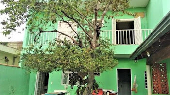 imagem 1 - Casa com 2 dormitórios à venda, 243 m² por R$ 450.000,00 - Jardim Antártica - Ribeirão Preto/SP imagem 1 - Casa com 2 dormitórios à venda, 243 m² por R$ 450.000,00 - Jardim Antártica - Ribeirão Preto/SP