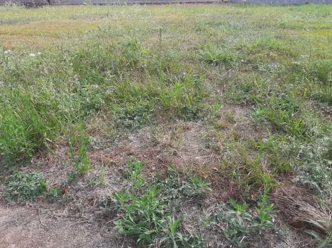 imagem 2 - Terreno à venda, 362 m² - Jardim Vista Bella - Bonfim Paulista. imagem 2 - Terreno à venda, 362 m² - Jardim Vista Bella - Bonfim Paulista.