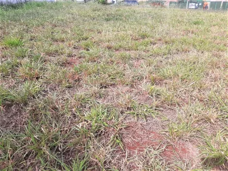 imagem 4 - Terreno à venda, 362 m² - Jardim Vista Bella - Bonfim Paulista. imagem 4 - Terreno à venda, 362 m² - Jardim Vista Bella - Bonfim Paulista.