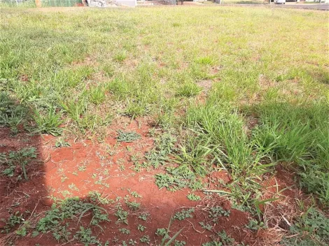 imagem 3 - Terreno à venda, 362 m² - Jardim Vista Bella - Bonfim Paulista. imagem 3 - Terreno à venda, 362 m² - Jardim Vista Bella - Bonfim Paulista.