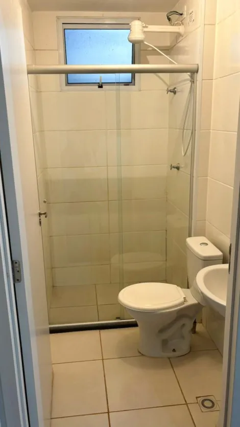 imagem 5 - Apartamento para alugar com 2 quartos, 40m² - Residencial Lar Grécia - Jardim Emília. imagem 5 - Apartamento para alugar com 2 quartos, 40m² - Residencial Lar Grécia - Jardim Emília.