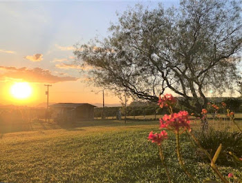 imagem 5 - Sítio com 8 dormitórios à venda, 48000 m² por R$ 1.400.000,00 - Zona Rural - Santo Antônio da Alegria/SP imagem 5 - Sítio com 8 dormitórios à venda, 48000 m² por R$ 1.400.000,00 - Zona Rural - Santo Antônio da Alegria/SP