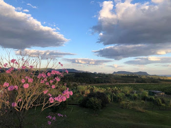 imagem 4 - Sítio com 8 dormitórios à venda, 48000 m² por R$ 1.400.000,00 - Zona Rural - Santo Antônio da Alegria/SP imagem 4 - Sítio com 8 dormitórios à venda, 48000 m² por R$ 1.400.000,00 - Zona Rural - Santo Antônio da Alegria/SP