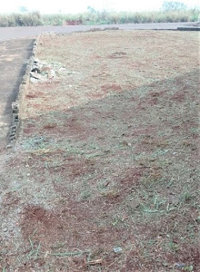 imagem 2 - Terreno à venda, 307 m² por R$ 170.000,00 - Parque das Oliveiras - Ribeirão Preto/SP imagem 2 - Terreno à venda, 307 m² por R$ 170.000,00 - Parque das Oliveiras - Ribeirão Preto/SP