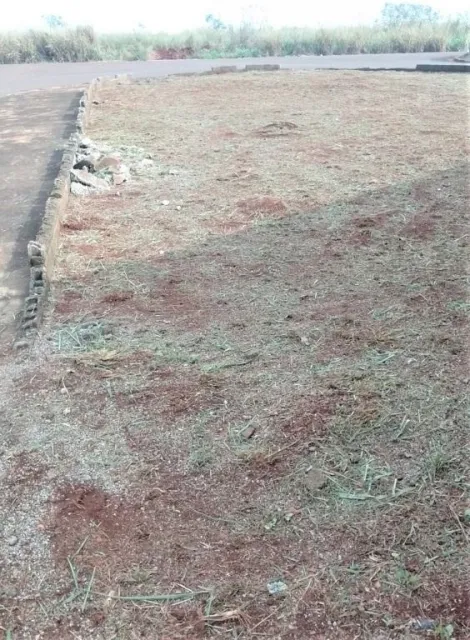 imagem 2 - Terreno à venda, 307m² - Parque das Oliveiras. imagem 2 - Terreno à venda, 307m² - Parque das Oliveiras.