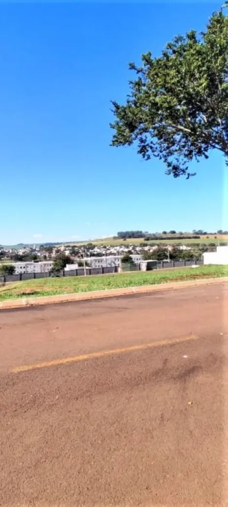 imagem 5 - Terreno à venda, 253 m² - Condomínio Terras de Santa Martha - Bonfim Paulista imagem 5 - Terreno à venda, 253 m² - Condomínio Terras de Santa Martha - Bonfim Paulista
