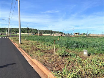 imagem 2 - Terreno à venda, 250 m² por R$ 250.000 - Recreio Anhangüera - Ribeirão Preto/SP imagem 2 - Terreno à venda, 250 m² por R$ 250.000 - Recreio Anhangüera - Ribeirão Preto/SP