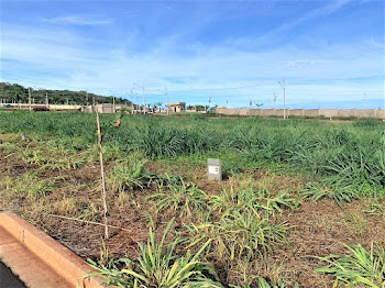 imagem 4 - Terreno à venda, 250 m² por R$ 250.000 - Recreio Anhangüera - Ribeirão Preto/SP imagem 4 - Terreno à venda, 250 m² por R$ 250.000 - Recreio Anhangüera - Ribeirão Preto/SP