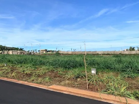 imagem 1 - Terreno à venda, 250m² - Recreio Anhangüera. imagem 1 - Terreno à venda, 250m² - Recreio Anhangüera.