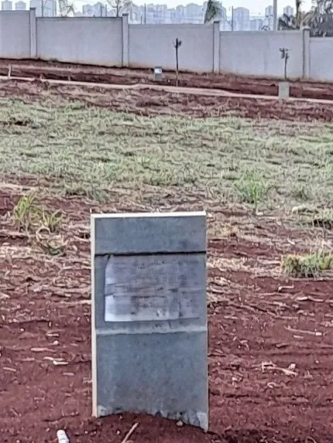 imagem 2 - Terreno à venda, 250m² - Recreio Anhangüera. imagem 2 - Terreno à venda, 250m² - Recreio Anhangüera.