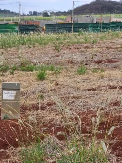 imagem 1 - Terreno em condomínio à venda, 250m² - Residencial Quinta da Mata II - Recreio Anhangüera. imagem 1 - Terreno em condomínio à venda, 250m² - Residencial Quinta da Mata II - Recreio Anhangüera.