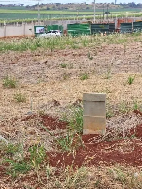 imagem 1 - Terreno em condomínio à venda, 250 m² - Residencial Quinta da Mata II - Recreio Anhangüera. imagem 1 - Terreno em condomínio à venda, 250 m² - Residencial Quinta da Mata II - Recreio Anhangüera.