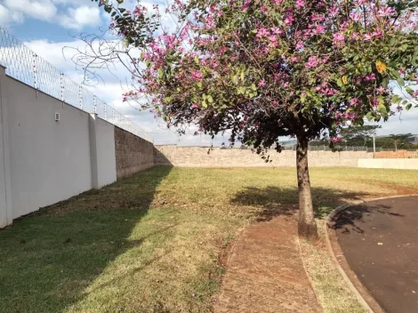 imagem 5 - Terreno em condomínio à venda, 670m² - Condomínio Siena - Vila Europa. imagem 5 - Terreno em condomínio à venda, 670m² - Condomínio Siena - Vila Europa.